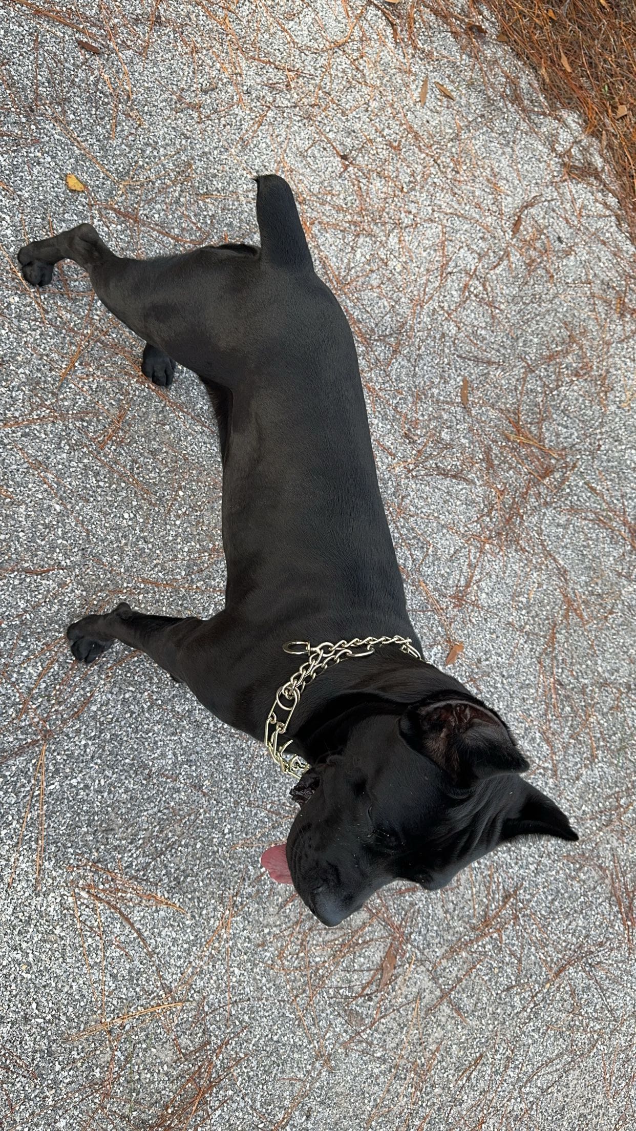 mckinley_1 snapchat image archive image