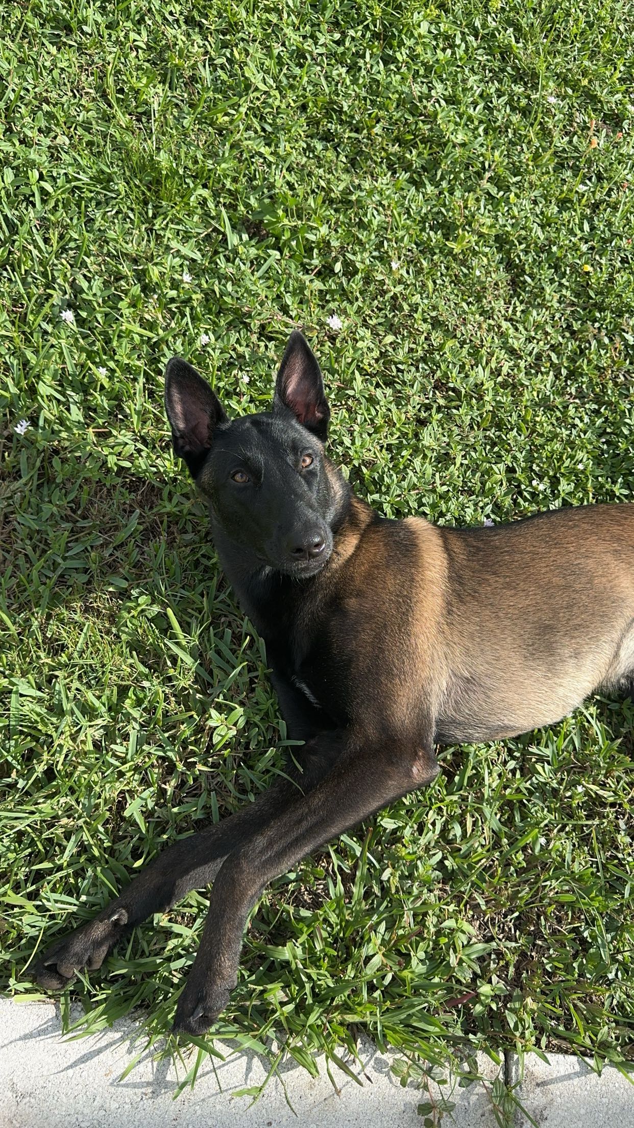 mckinley_1 snapchat image archive image