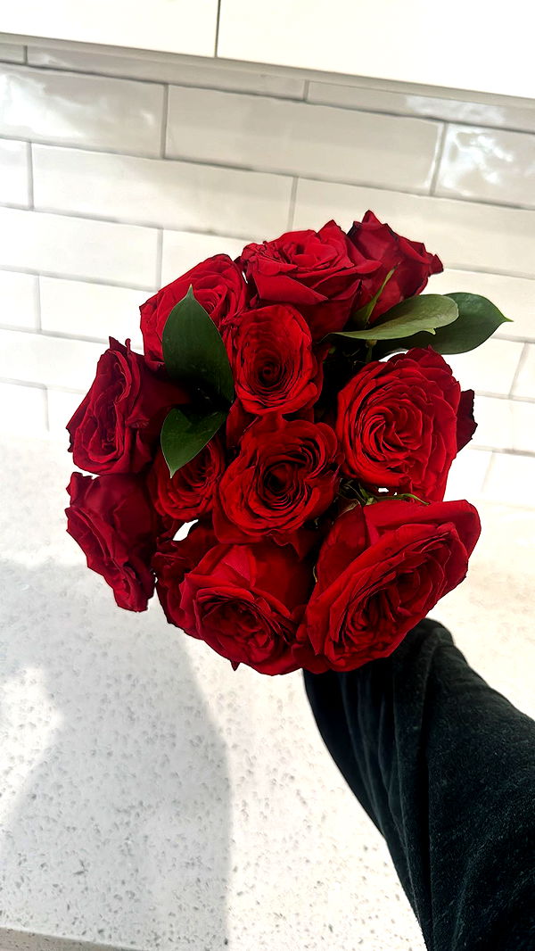 mckinley_1 image ~ Altpins