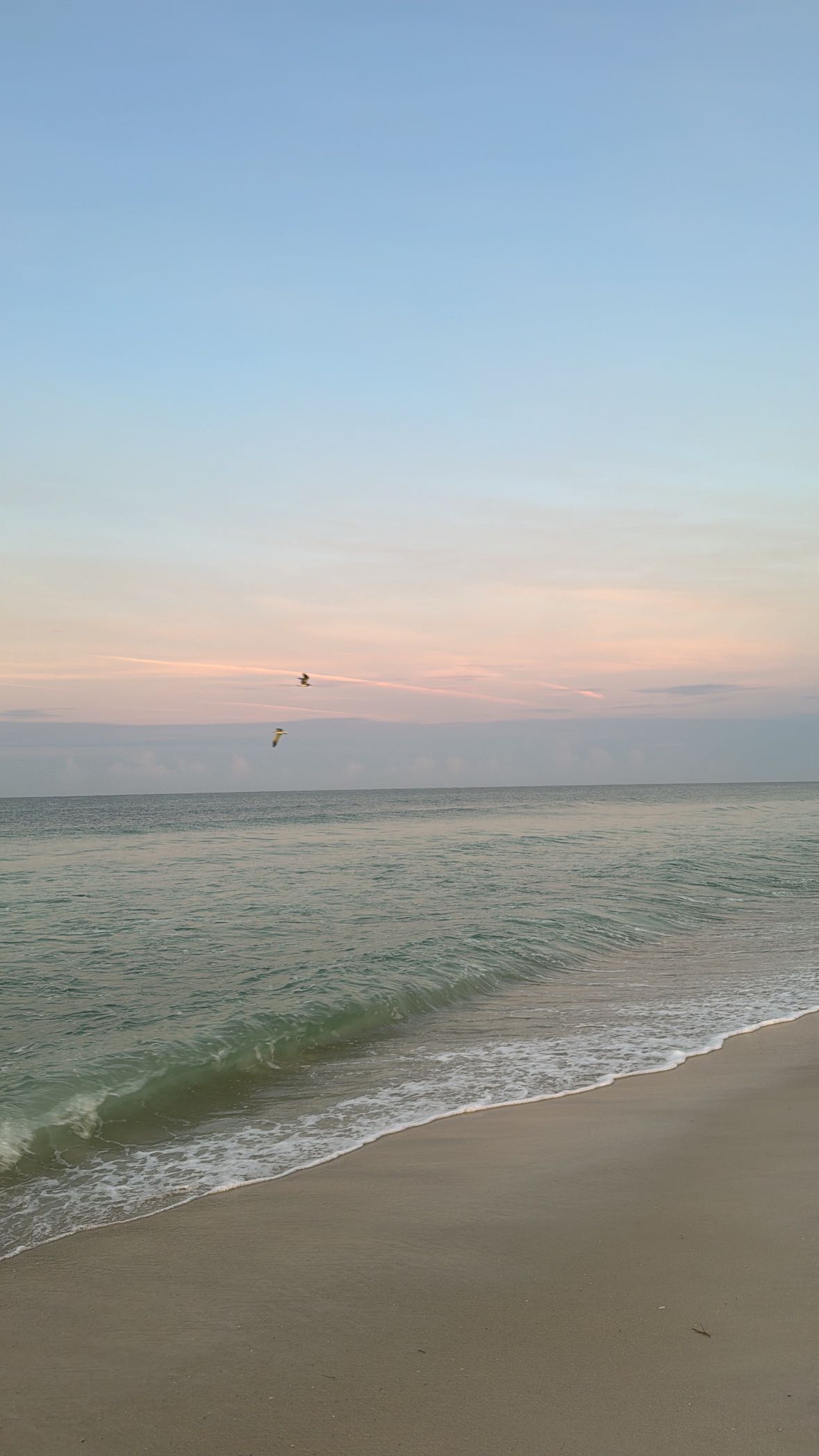 mckinley_1 snapchat image archive image