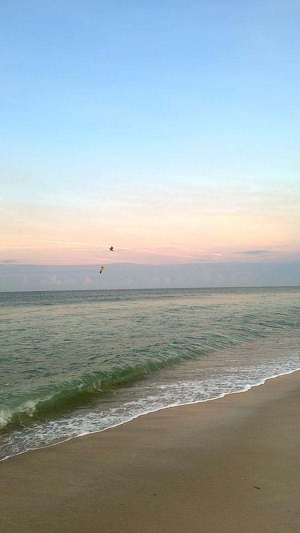 mckinley_1 image ~ Altpins