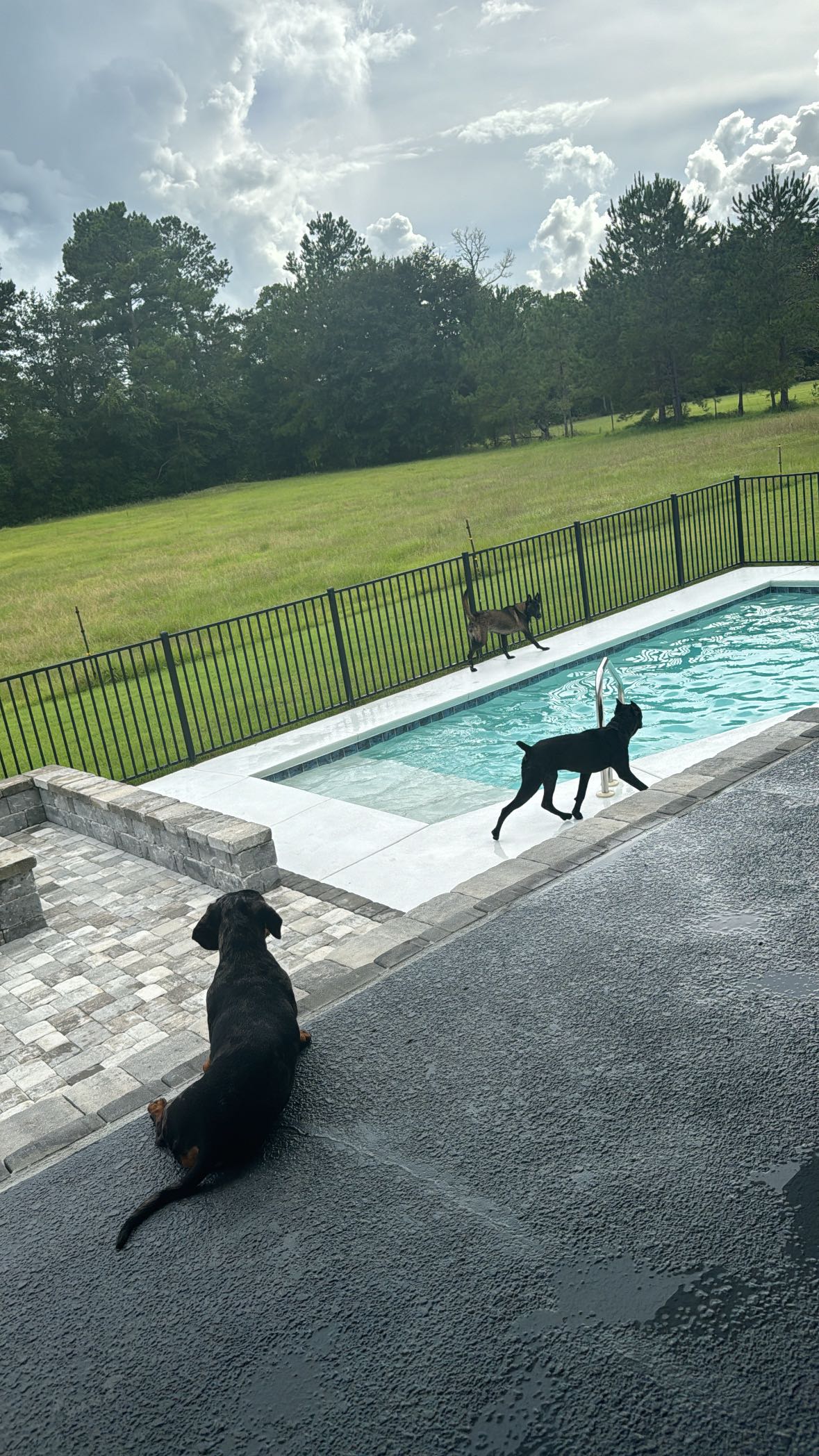 mckinley_1 snapchat image archive image