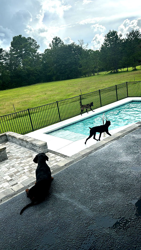 mckinley_1 image ~ Altpins