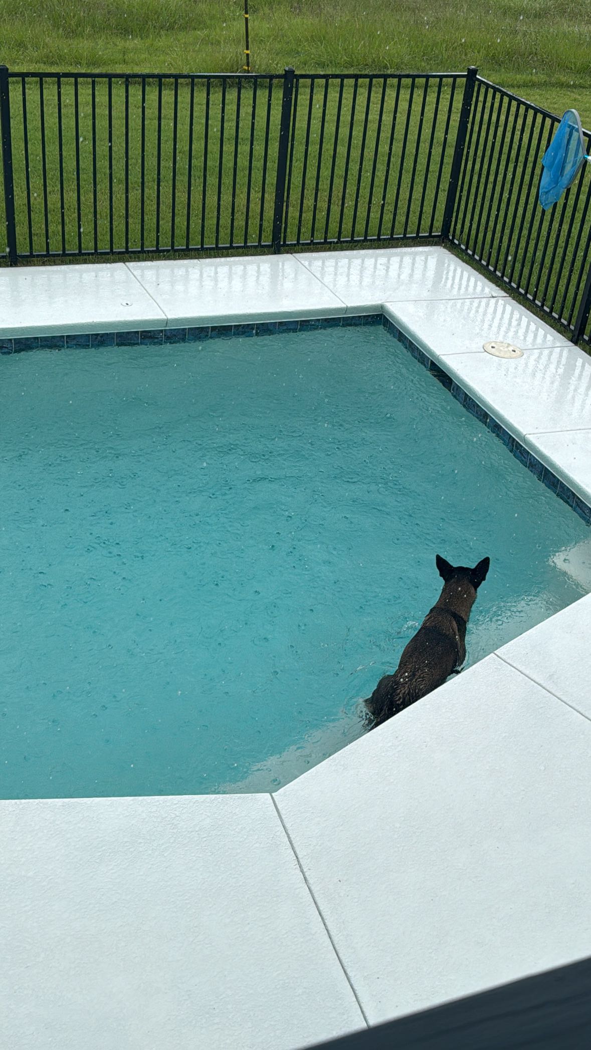 mckinley_1 snapchat image archive image