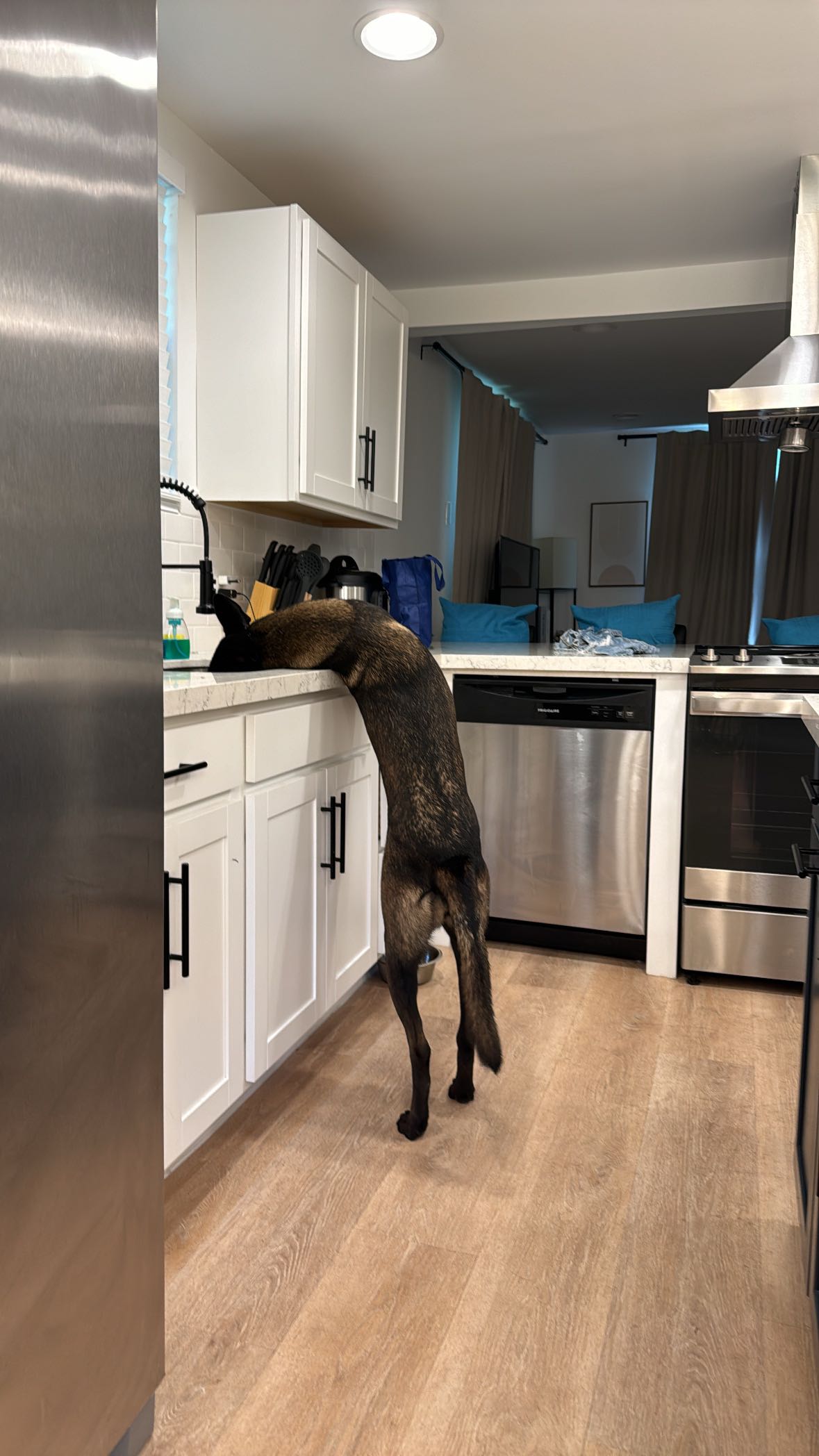 mckinley_1 snapchat image archive image