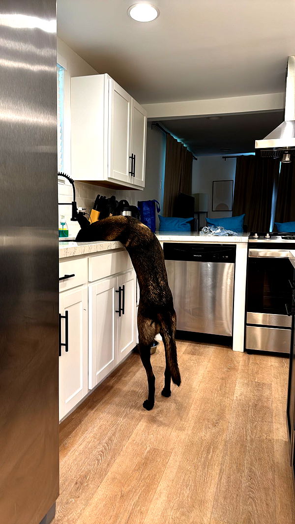 mckinley_1 image ~ Altpins