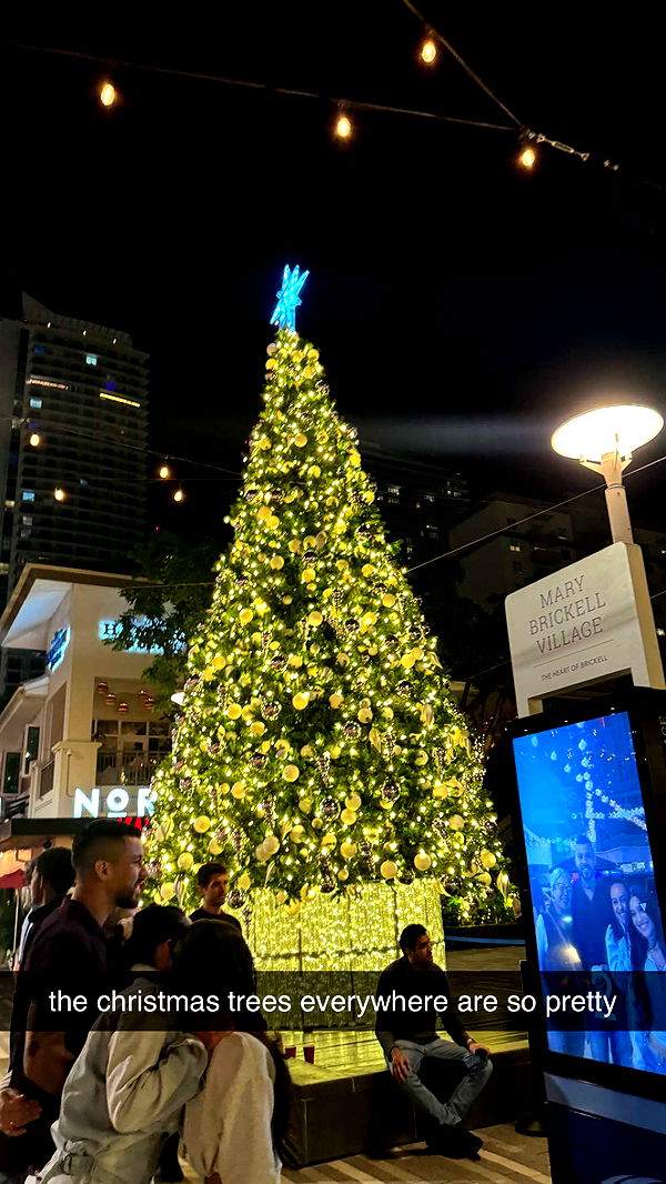 mckinley_1 image ~ Altpins