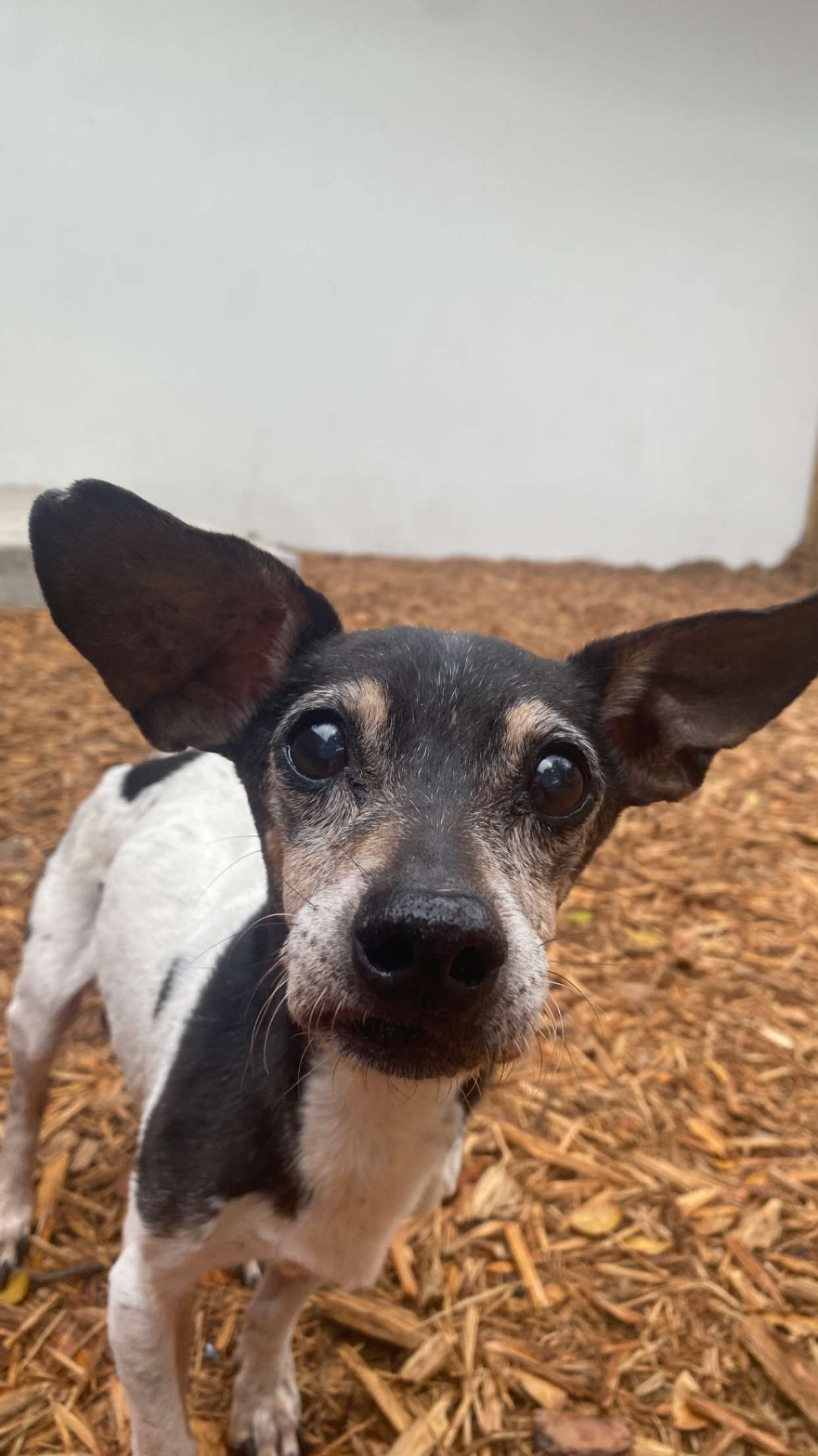 mckinley_1 snapchat image archive image