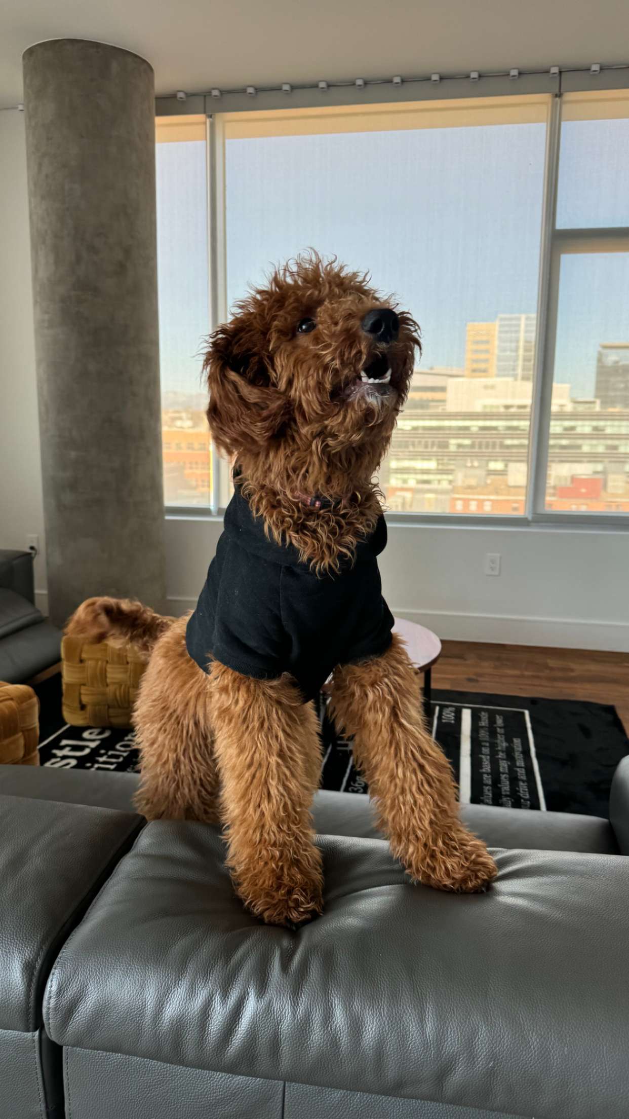 mckinley_1 snapchat image archive image