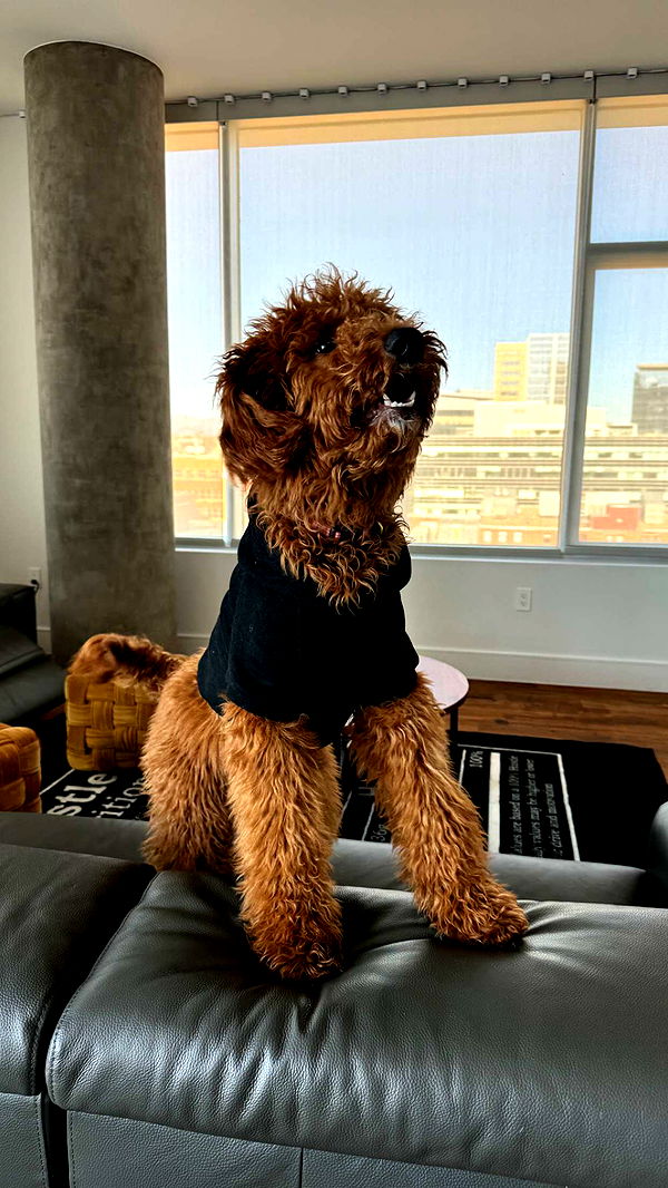 mckinley_1 image ~ Altpins