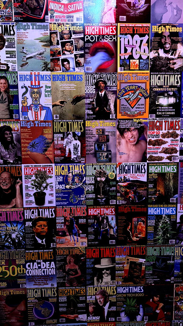 mckinley_1 image ~ Altpins