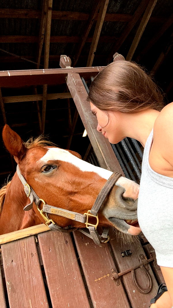 mckinley_1 image ~ Altpins