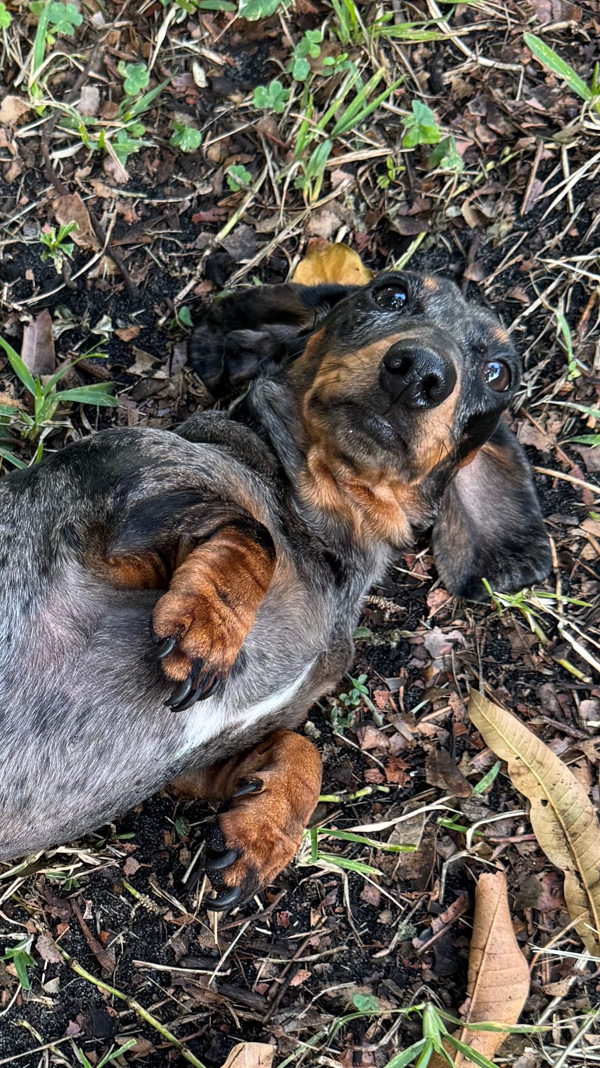 mckinley_1 snapchat image archive image