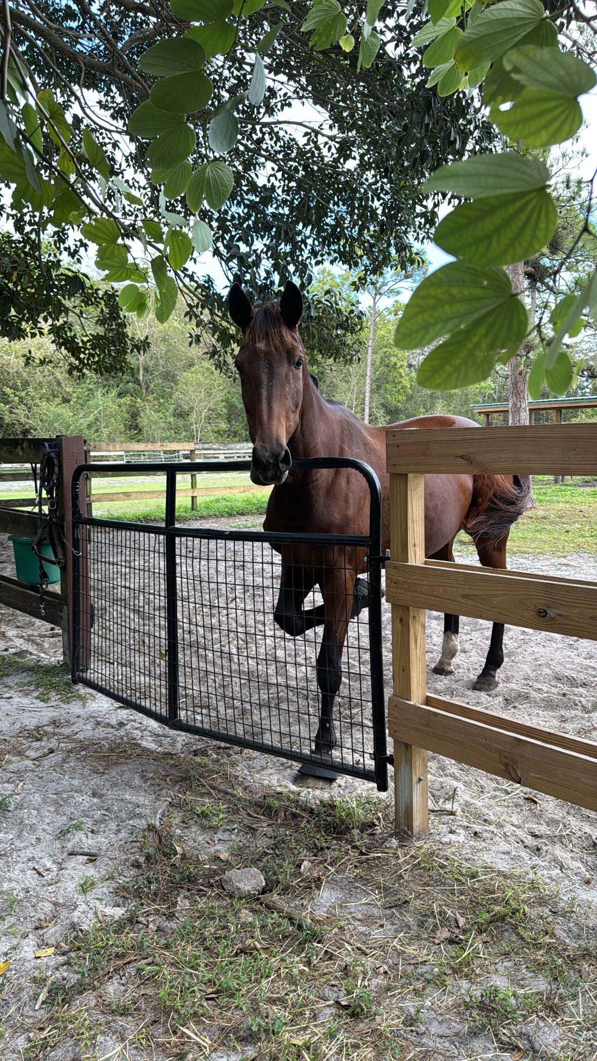 mckinley_1 snapchat image archive image