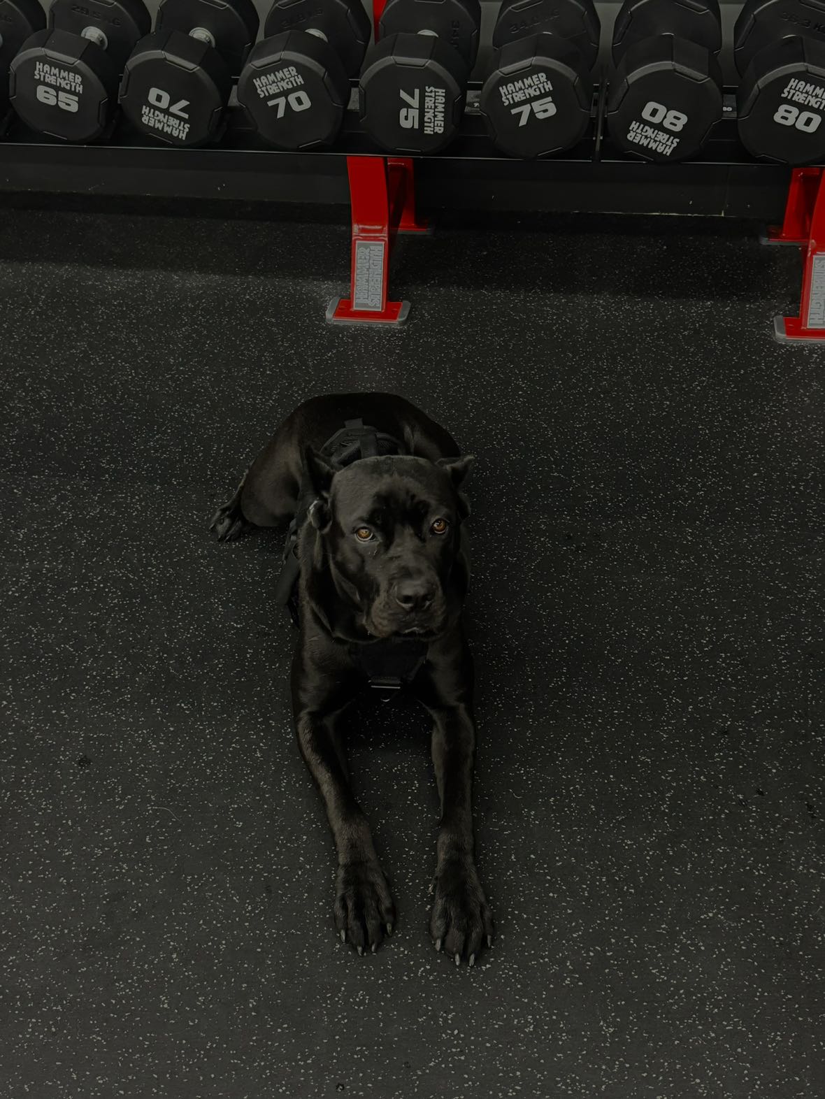 mckinley_1 snapchat image archive image