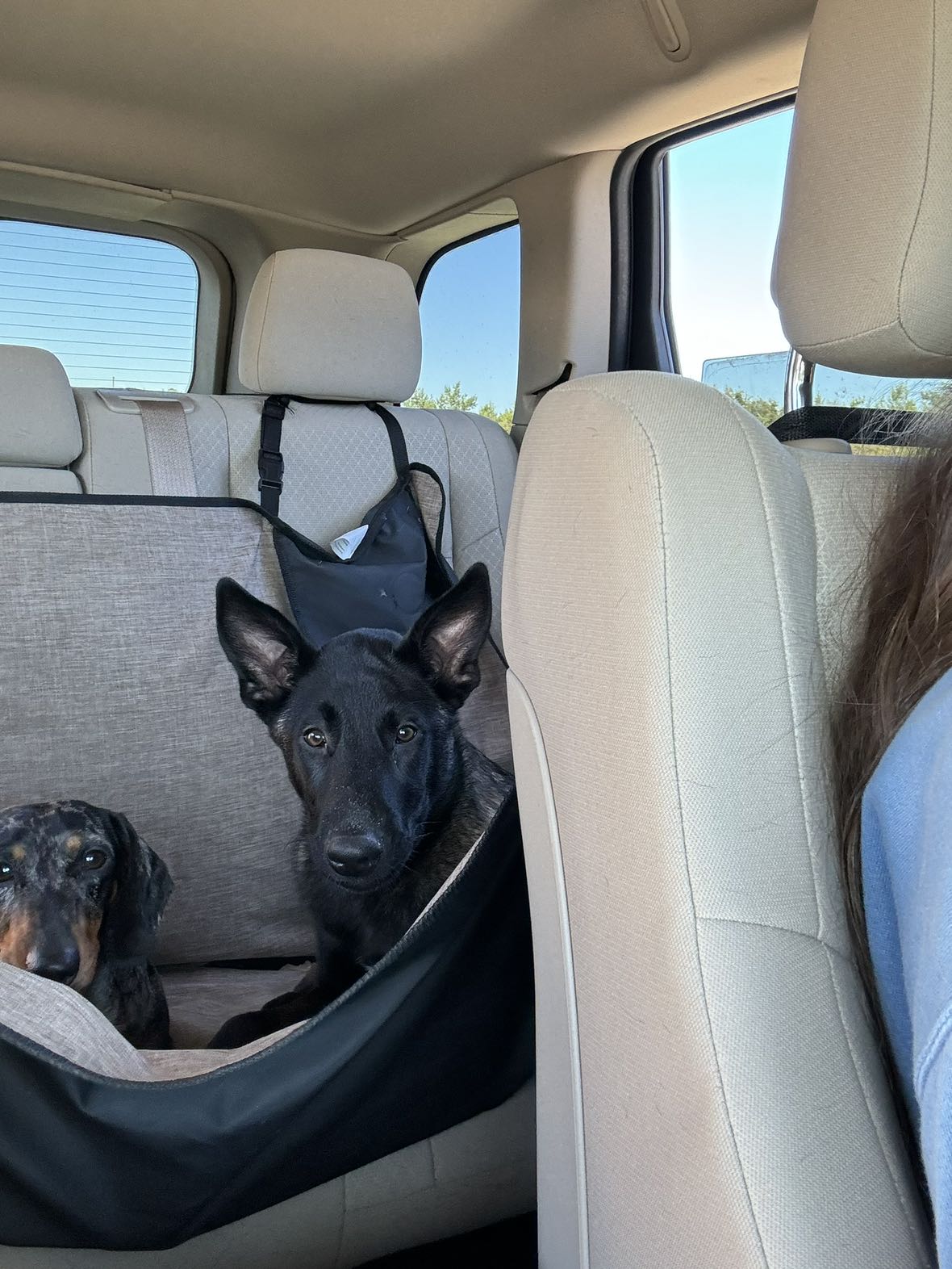 mckinley_1 snapchat image archive image