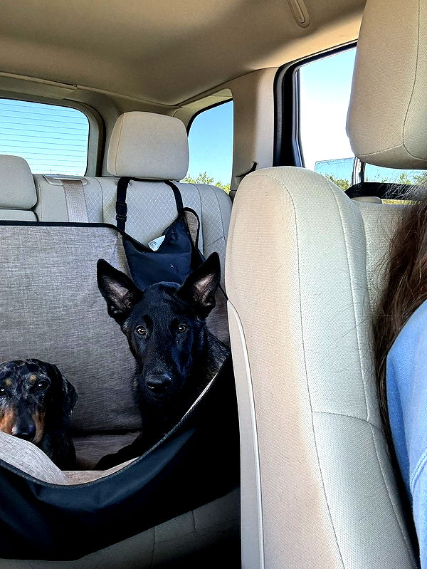 mckinley_1 image ~ Altpins