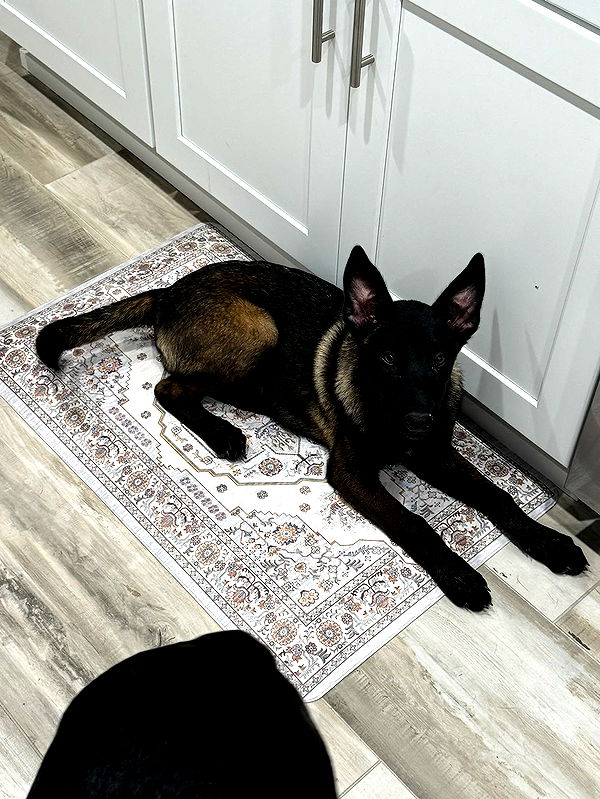 mckinley_1 image ~ Altpins