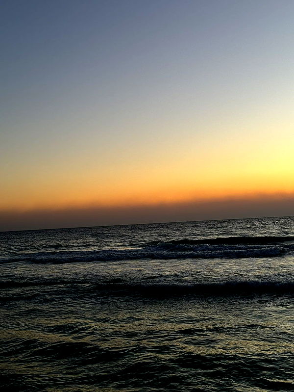 mckinley_1 image ~ Altpins