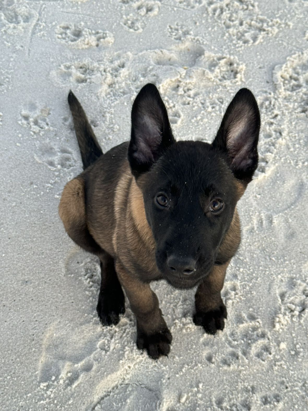 mckinley_1 snapchat image archive image