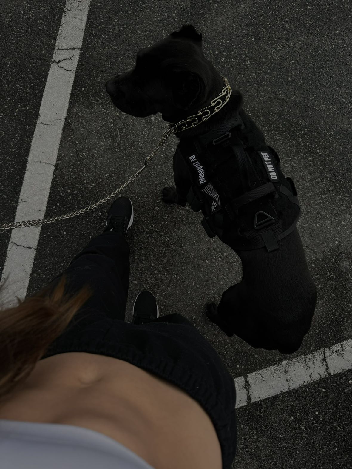 mckinley_1 snapchat image archive image