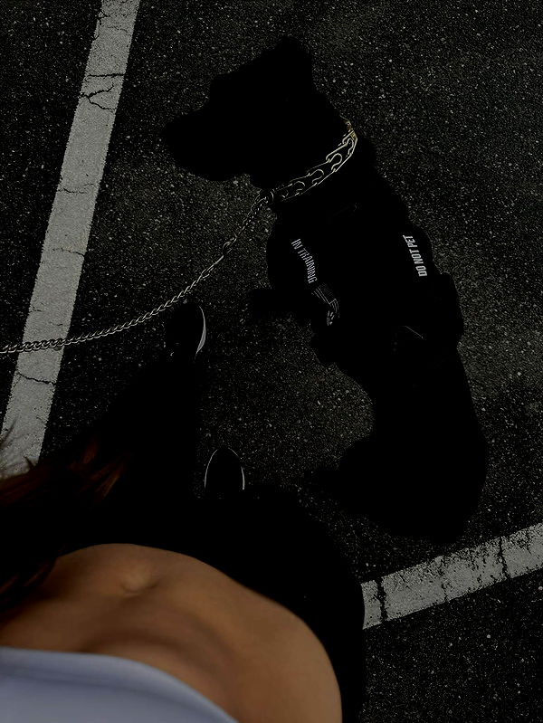 mckinley_1 image ~ Altpins