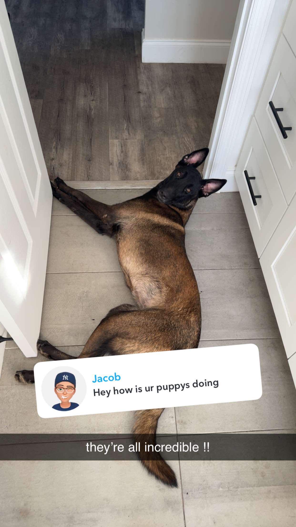 mckinley_1 snapchat image archive image