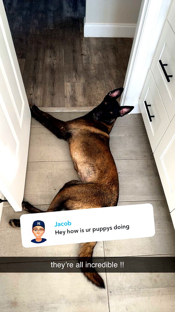 mckinley_1 image ~ Altpins