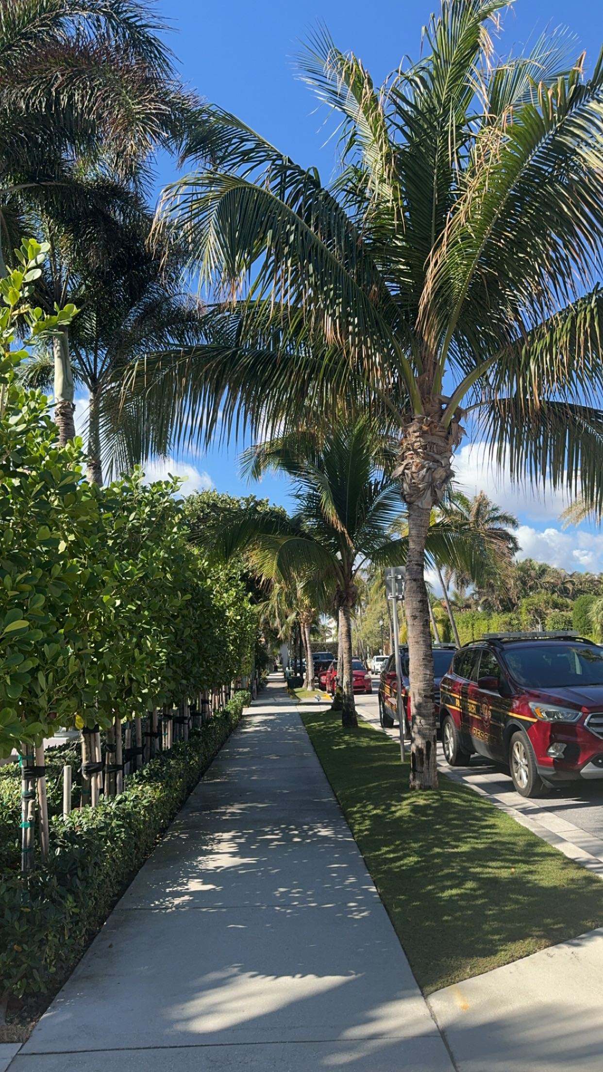 mckinley_1 snapchat image archive image