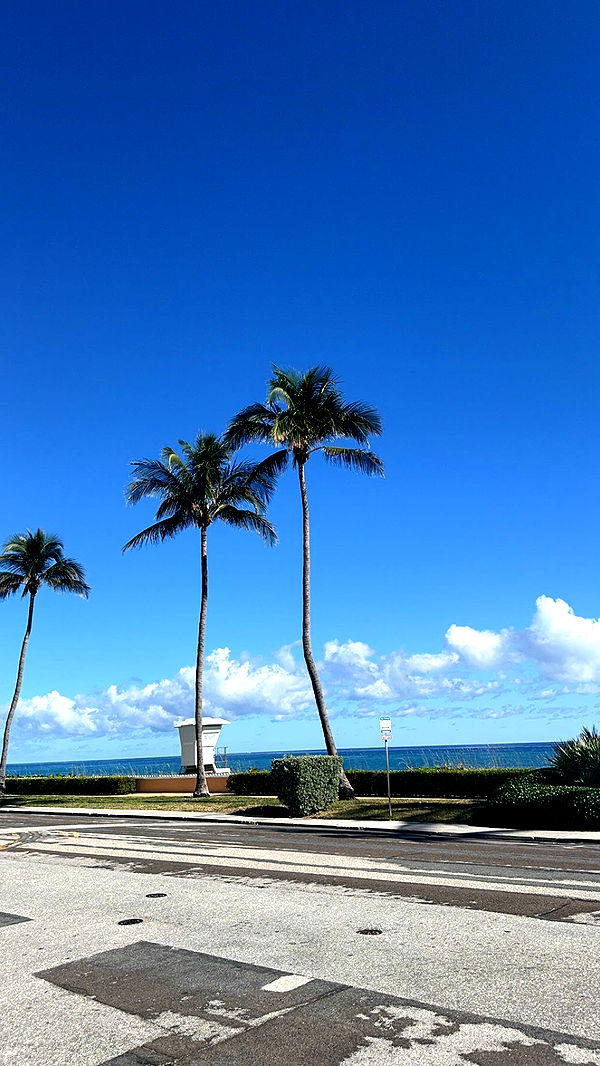 mckinley_1 image ~ Altpins