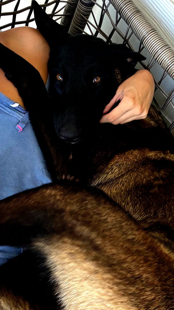 mckinley_1 image ~ Altpins