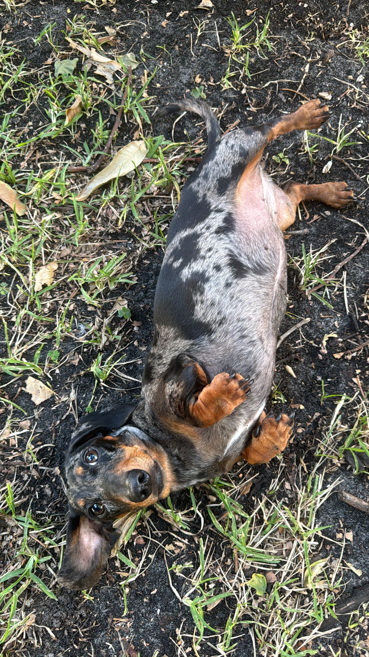 mckinley_1 snapchat image archive image