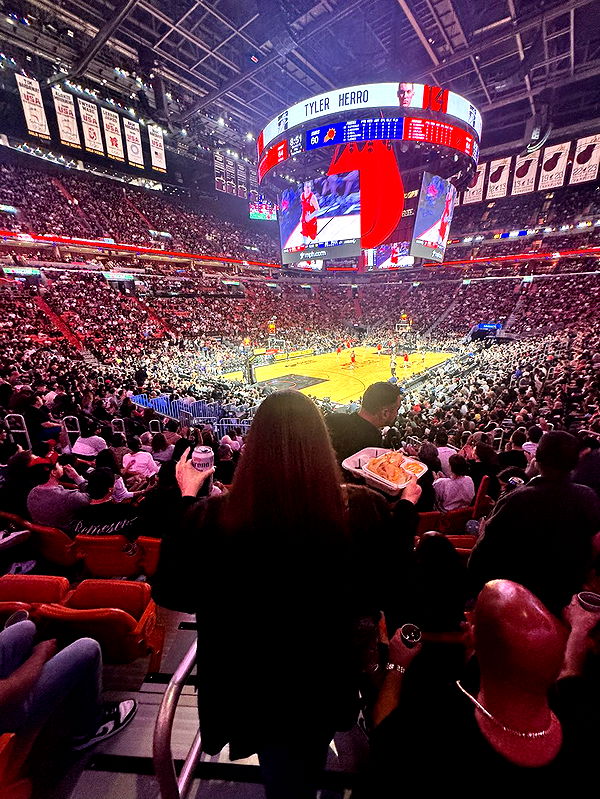 mckinley_1 image ~ Altpins