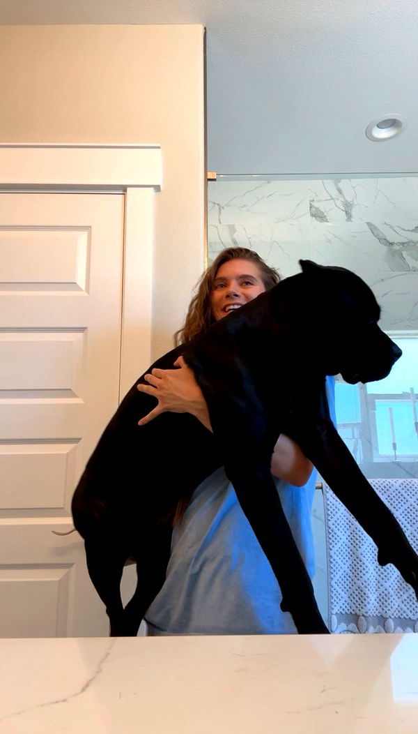 mckinley_1 image ~ Altpins