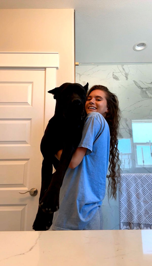 mckinley_1 image ~ Altpins