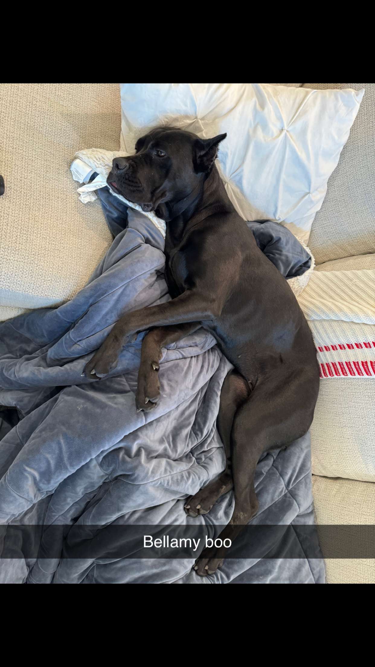 mckinley_1 snapchat image archive image