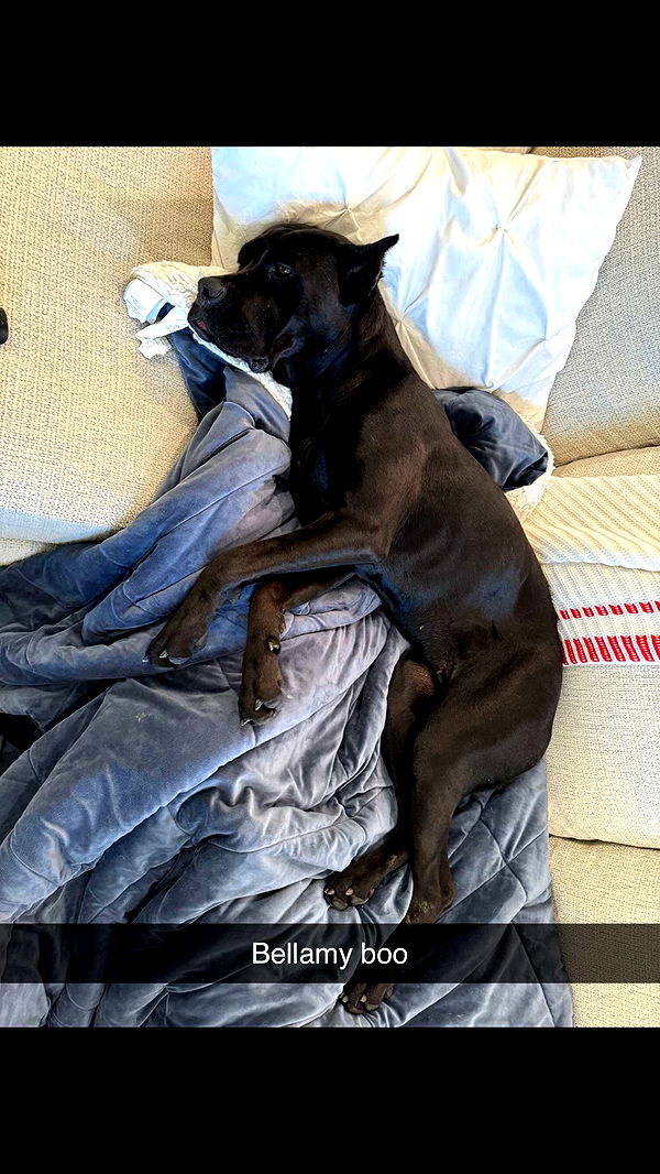 mckinley_1 image ~ Altpins