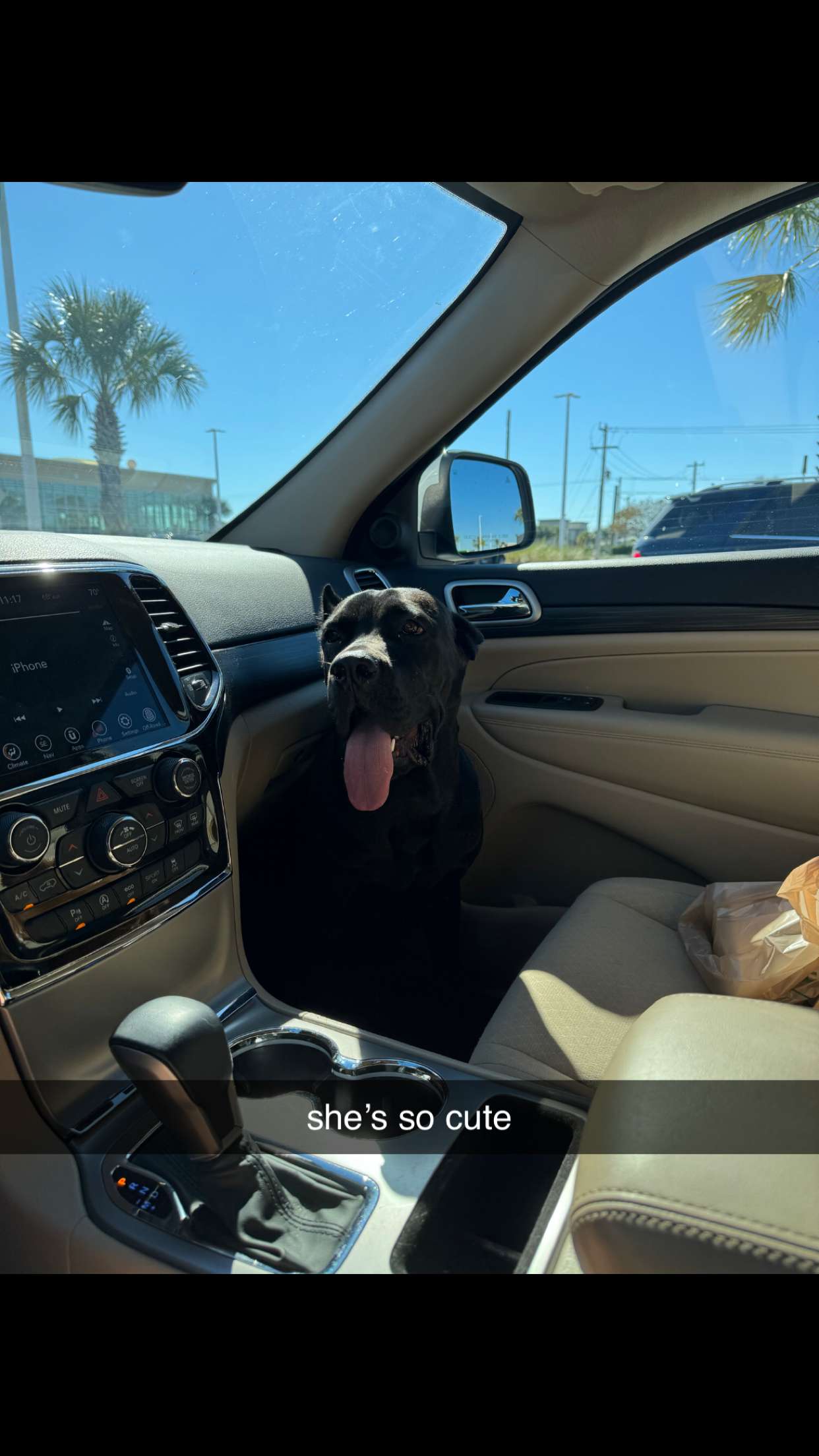 mckinley_1 snapchat image archive image