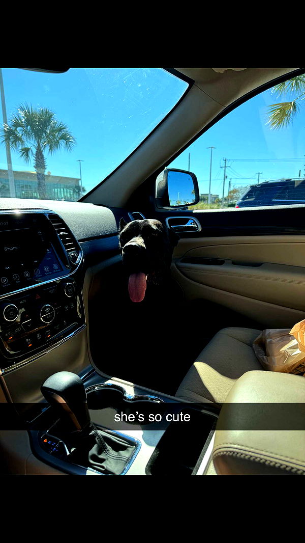 mckinley_1 image ~ Altpins