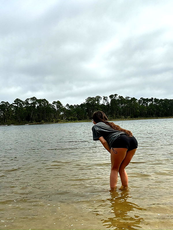 mckinley_1 image ~ Altpins