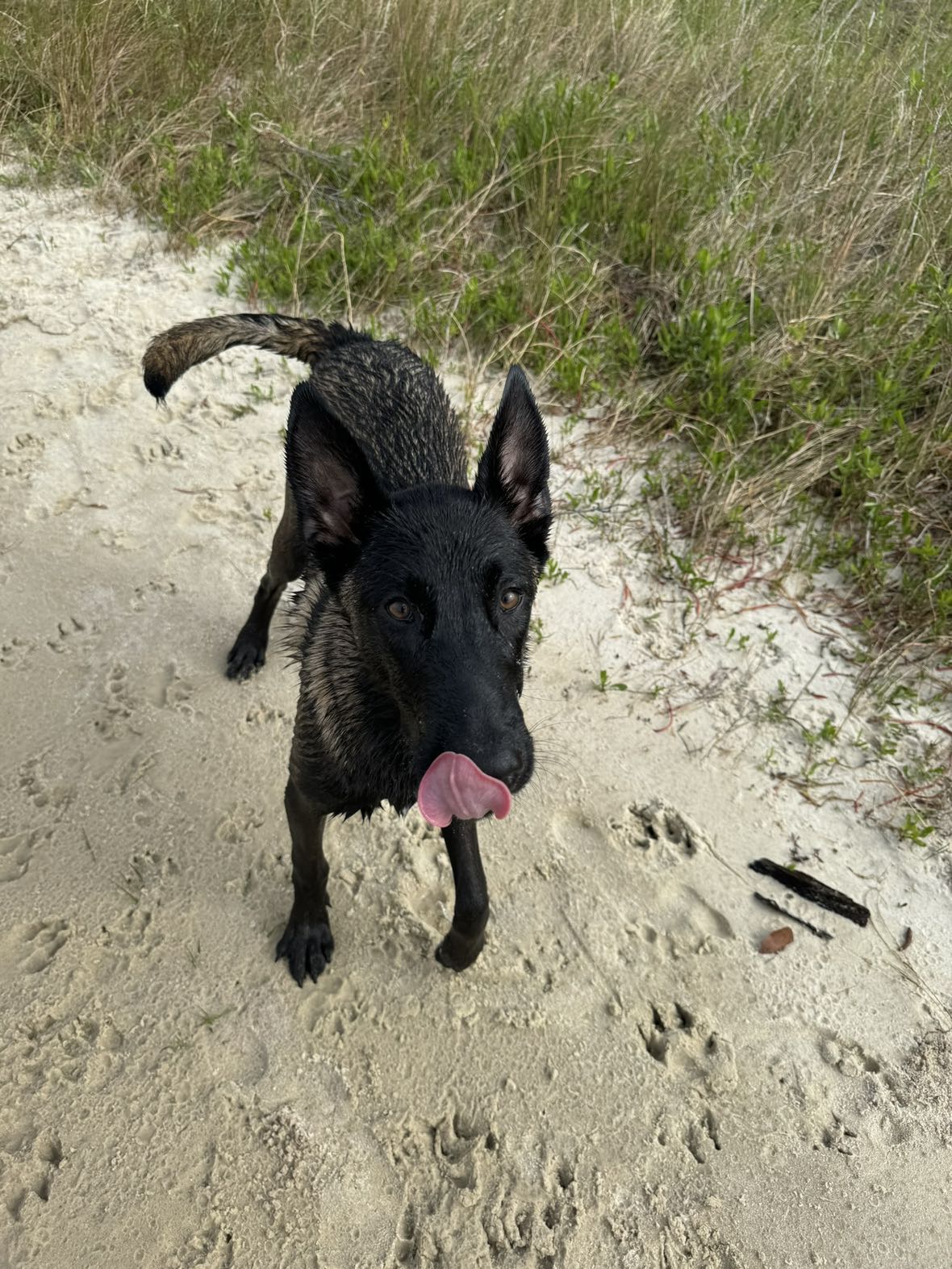 mckinley_1 snapchat image archive image