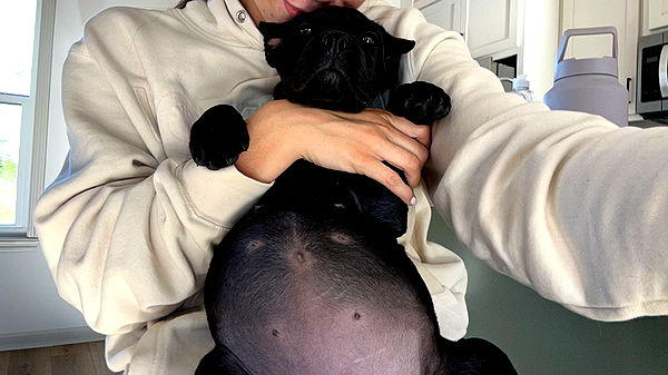 mckinley_1 image ~ Altpins