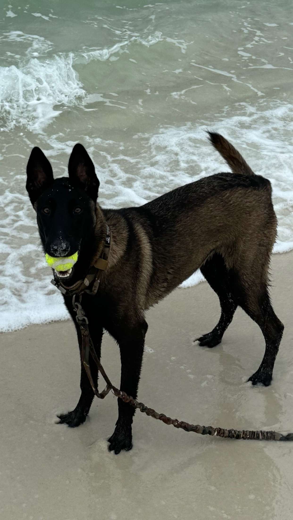 mckinley_1 snapchat image archive image