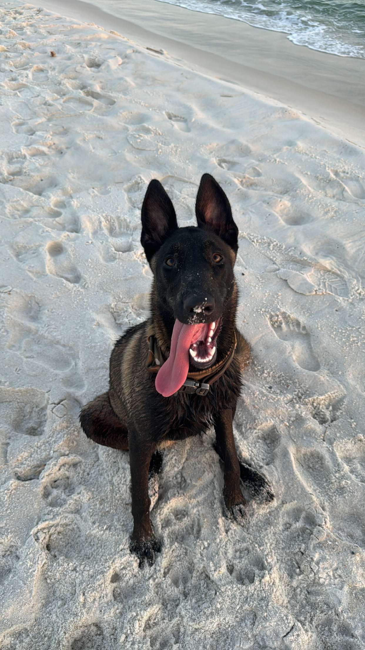 mckinley_1 snapchat image archive image