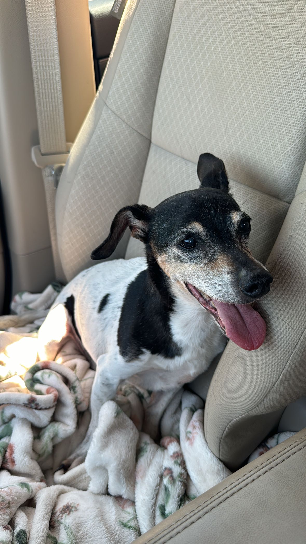 mckinley_1 snapchat image archive image