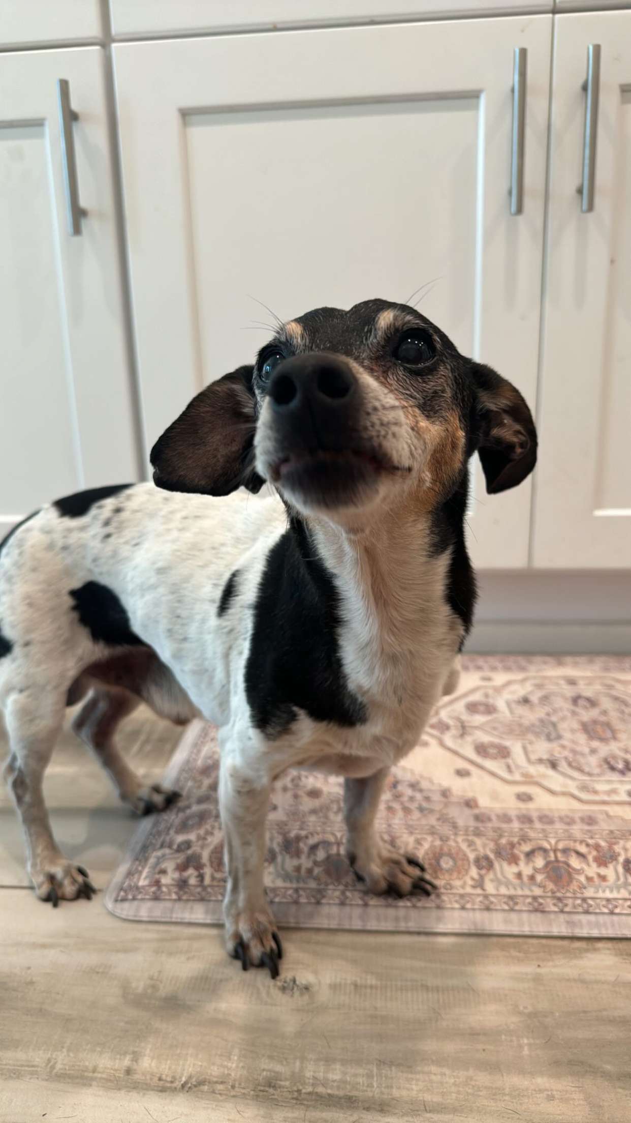 mckinley_1 snapchat image archive image