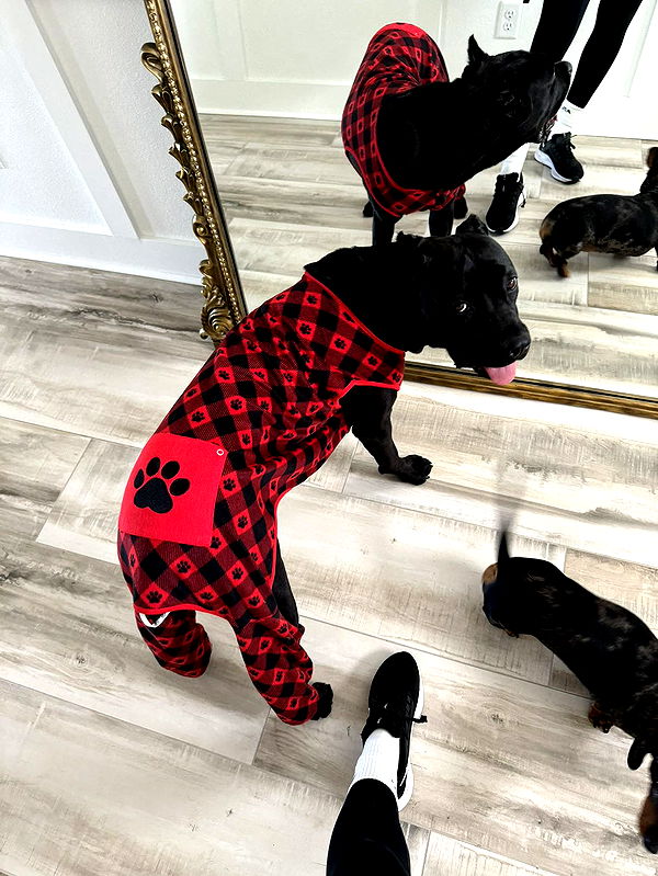 mckinley_1 image ~ Altpins