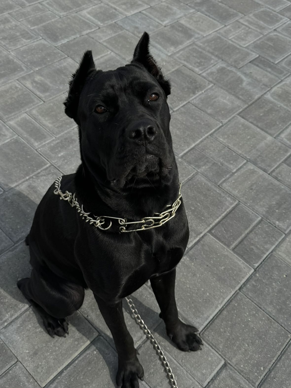 mckinley_1 snapchat image archive image