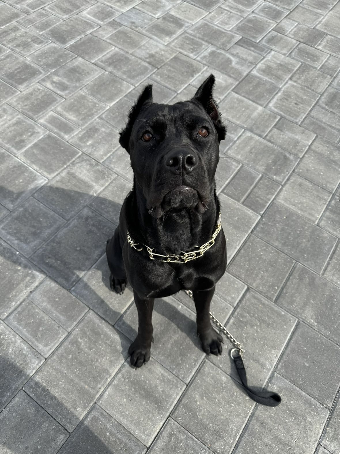 mckinley_1 snapchat image archive image