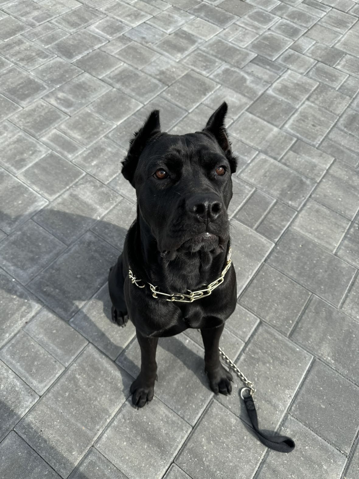 mckinley_1 snapchat image archive image